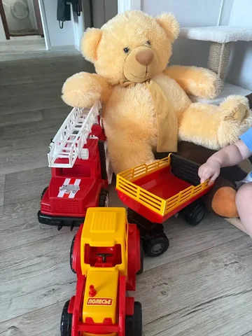 Отдам за вкусняшки - Пазлы в Саратов