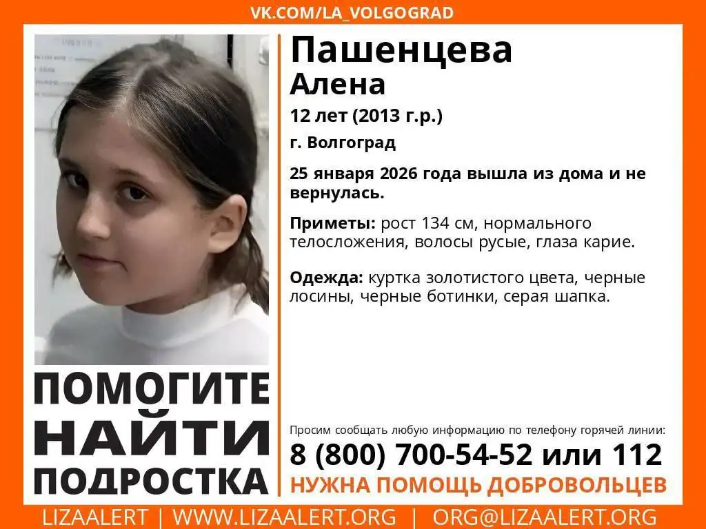 Штаб по поиску на Санаторной, 18 - Поиск (Услуги) в Волгоград