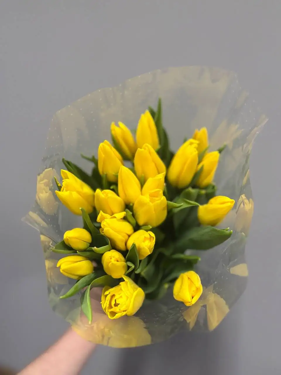 Тюльпаны к 8 Марта с доставкой - Хобби и отдых в Саратов
