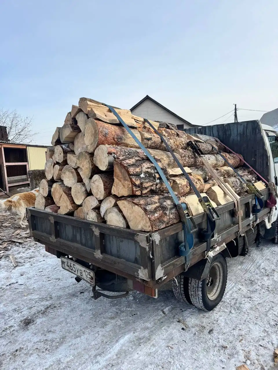 Продажа сухих дров из листвяка и сосны