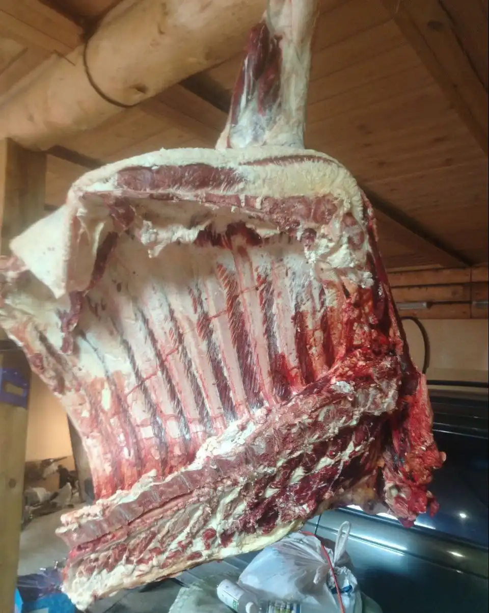 Продажа мяса говядины передок молодняк