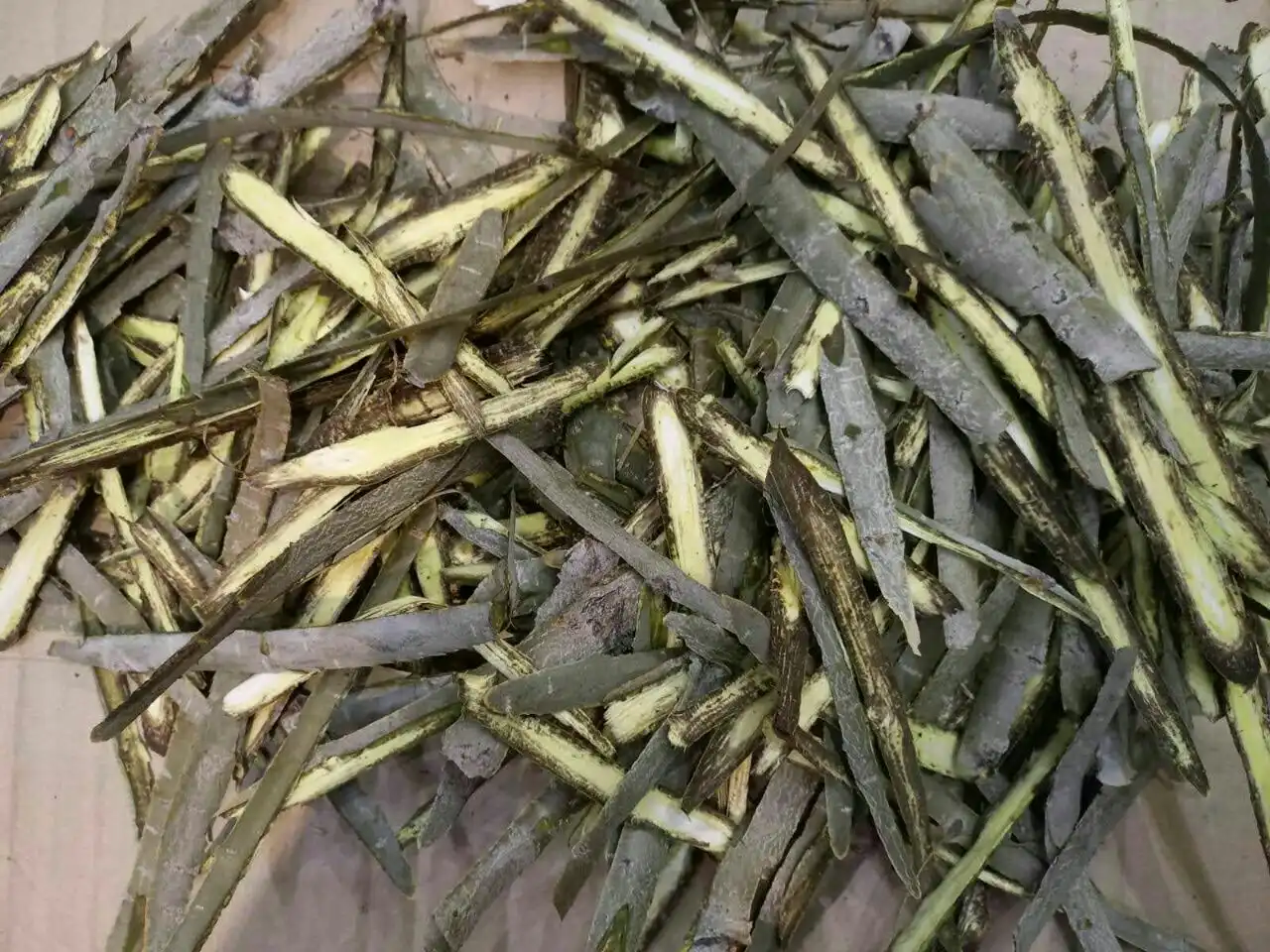 Кора молодой осины весеннего сбора