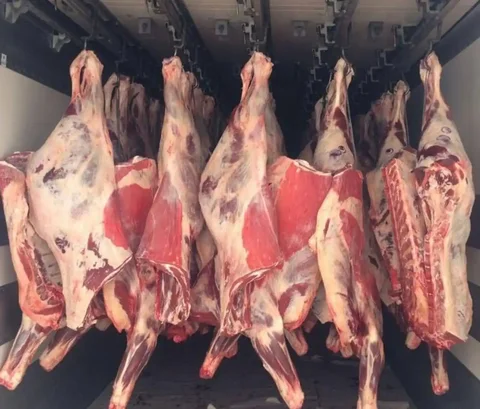 Свежая говядина и жеребятина от производителя - Электроника в Улан-Удэ