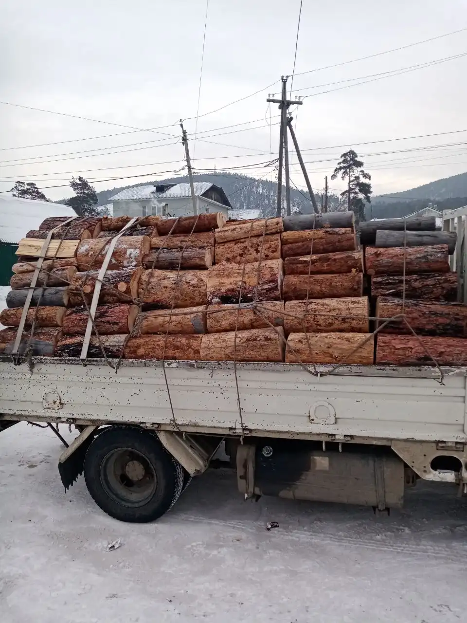 Сосна с лиственницей, шесть рядов сухие