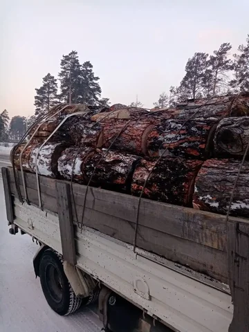 Продажа лиственницы и сосны для строительства - Подарки и сувениры в Улан-Удэ