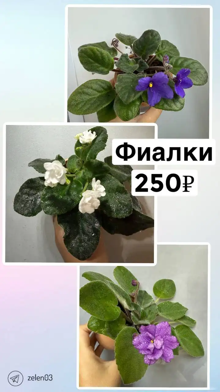 Продажа в 142 микрорайоне Улан-Удэ - Барахолка в Улан-Удэ