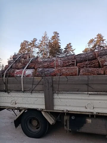Лиственница полусухая, шесть рядов с наростами - Сладости в Улан-Удэ
