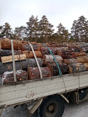 Лиственница и сосна сухие - Сладости в Улан-Удэ