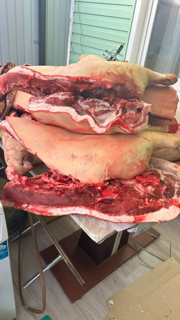 Продажа домашней свинины и субпродуктов - Продукты питания (Барахолка) в Улан-Удэ