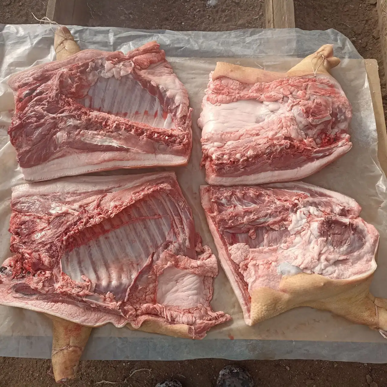 Продажа свинины вьетнамской вислобрюхой - Продукция животноводства (Животные) в Улан-Удэ