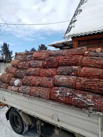 Лиственница полусухая шесть рядов - Защитные очки в Улан-Удэ