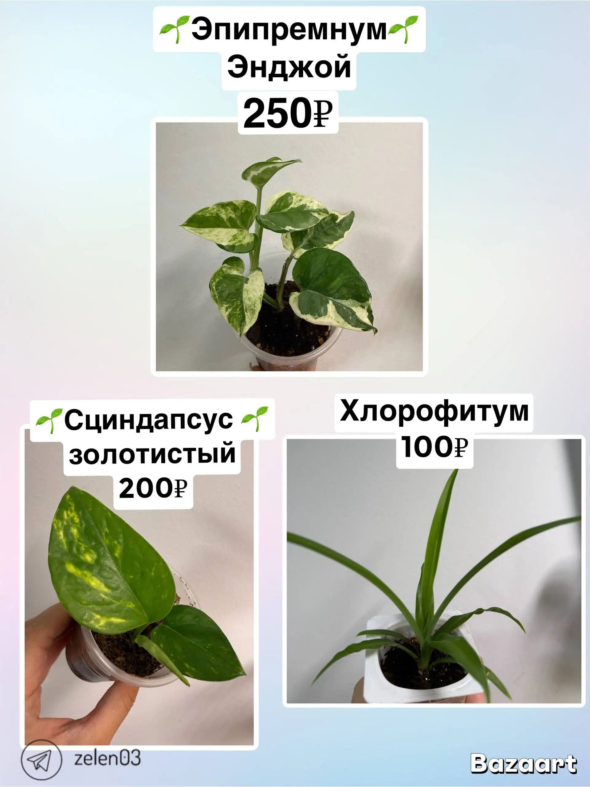 Объявление из барахолки Сотые Кварталы Улан-Удэ - Барахолка в Улан-Удэ