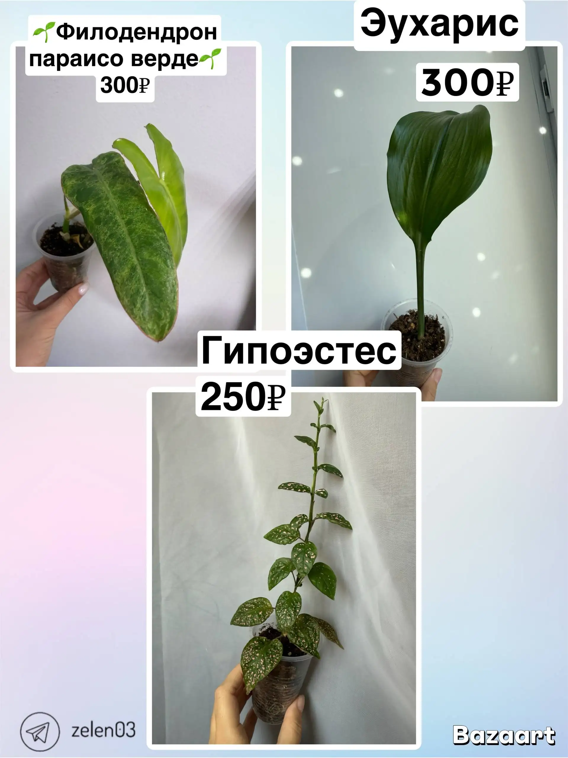 Объявление из барахолки Сотые Кварталы Улан-Удэ - Барахолка в Улан-Удэ