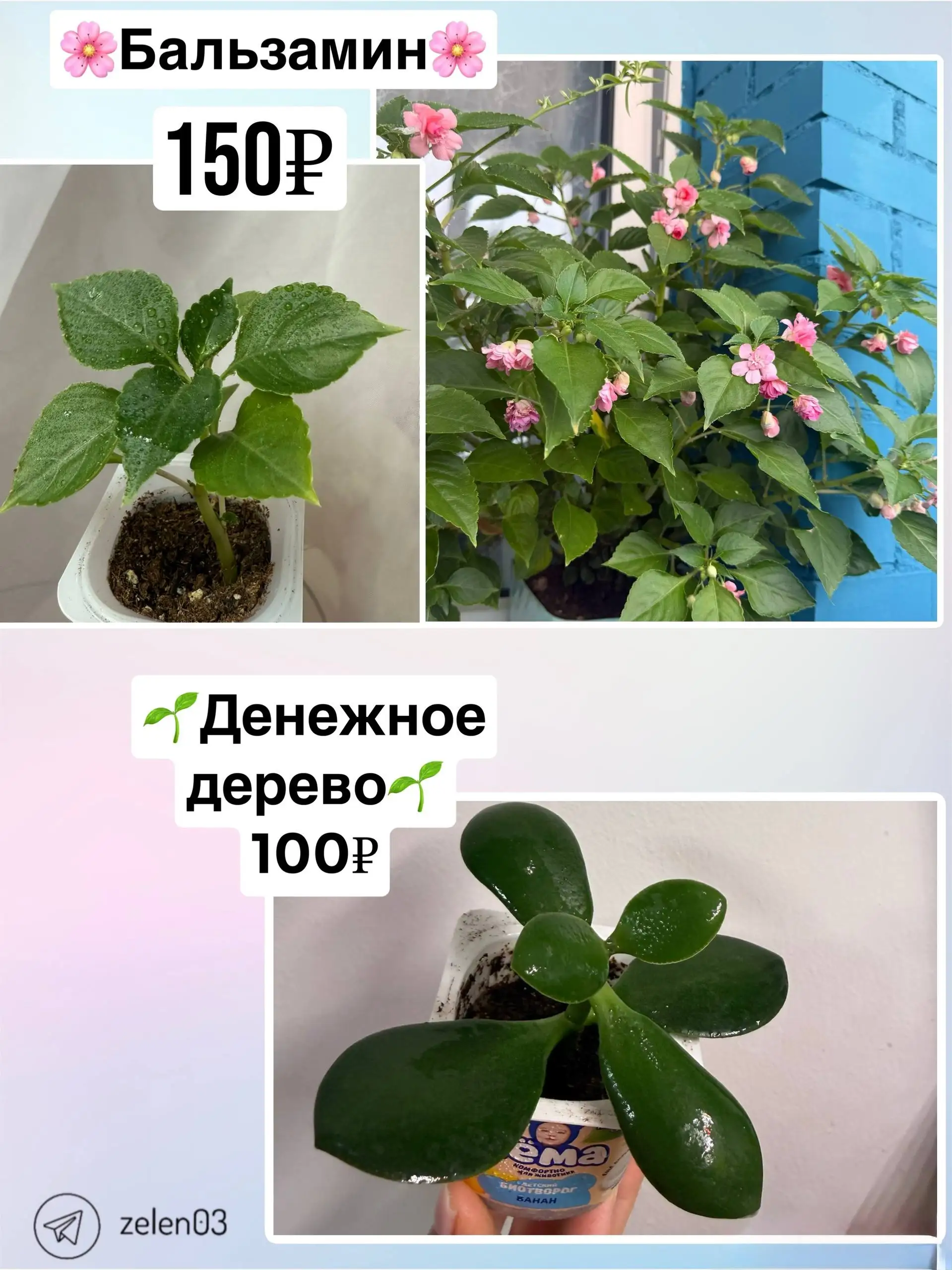 Объявление из барахолки Сотые Кварталы Улан-Удэ - Барахолка в Улан-Удэ