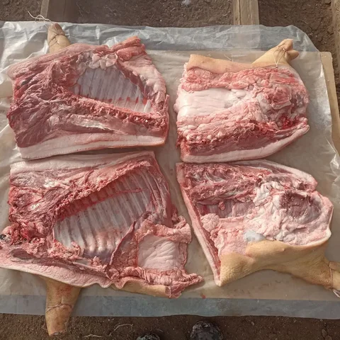 Продажа свиньи вьетнамской вислобрюхой - Улитки в Улан-Удэ