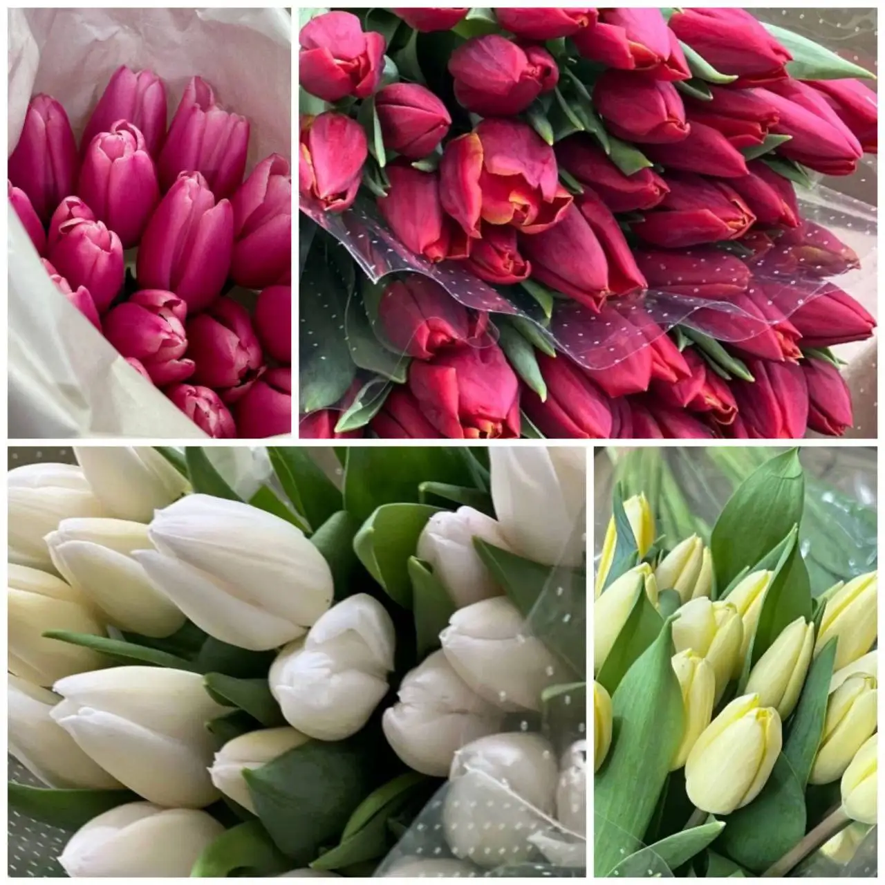 Букеты из тюльпанов с доставкой - Доставка цветов (Услуги) в Улан-Удэ