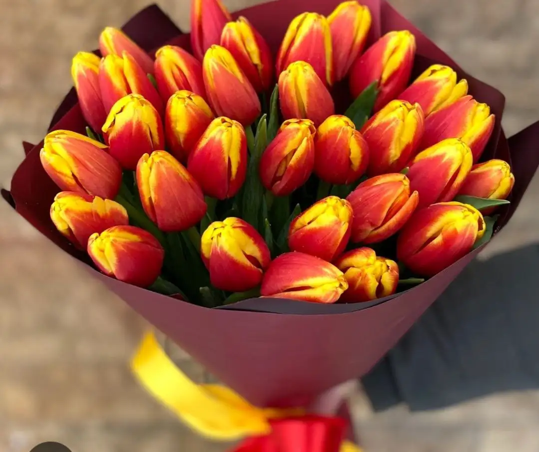 Сибирские тюльпаны премиум класса - Цветы (Хобби и отдых) в Улан-Удэ