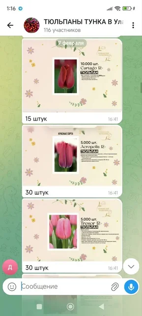 Букеты и цветы в Улан-Удэ - Спорт и фитнес в Улан-Удэ