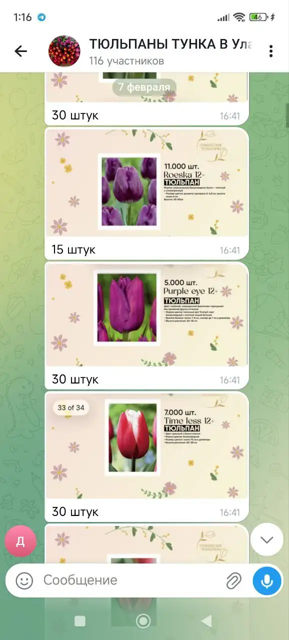 Букеты и цветы в Улан-Удэ - Цветы (Хобби и отдых) в Улан-Удэ