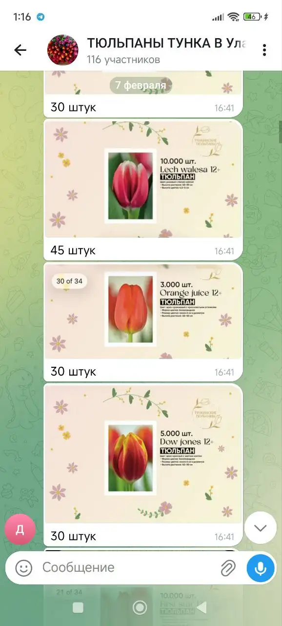 Букеты и цветы в Улан-Удэ - Цветы (Хобби и отдых) в Улан-Удэ