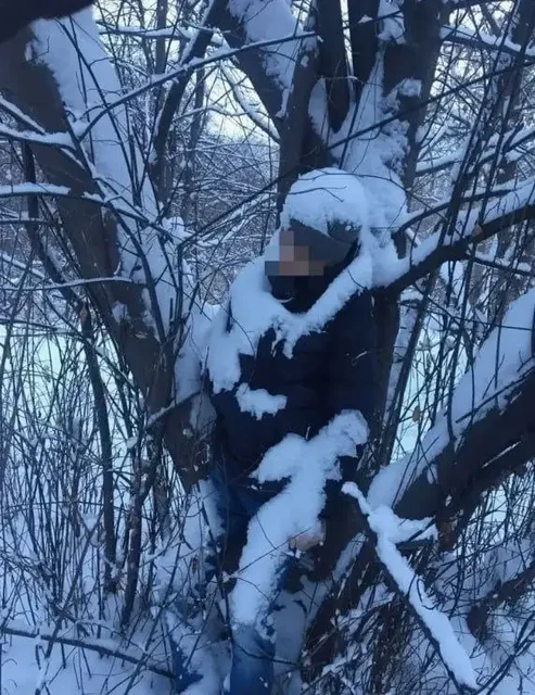 Неожиданная находка в лесу под Улан-Удэ - Древесина в Улан-Удэ