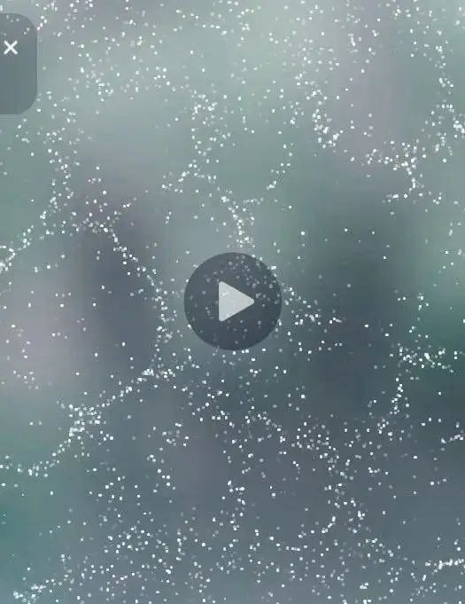 Неожиданная находка в лесу под Улан-Удэ - Барахолка в Улан-Удэ