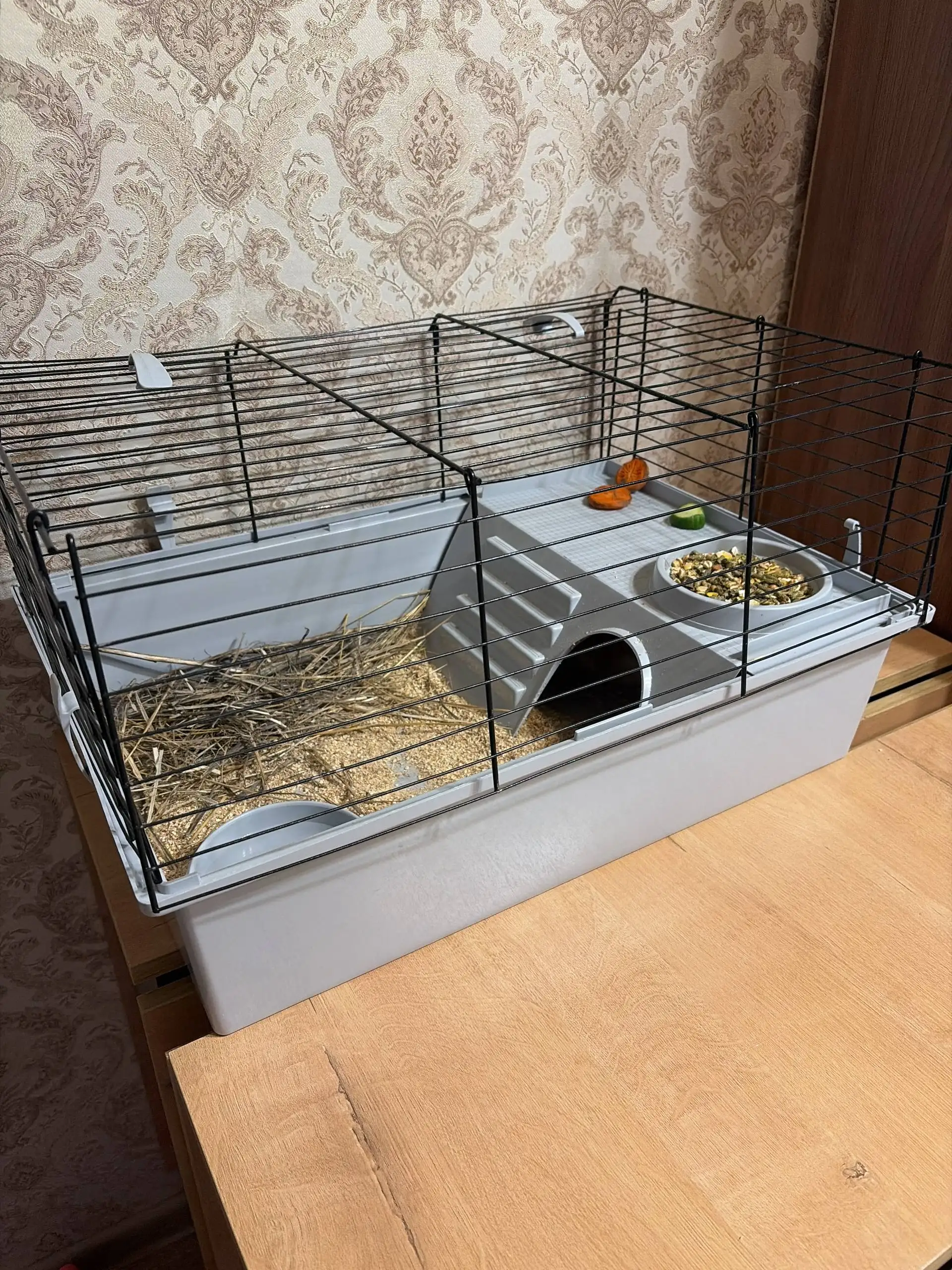 Продажа декоративного кролика с клеткой и аксессуарами - Декоративные животные (Животные) в Улан-Удэ