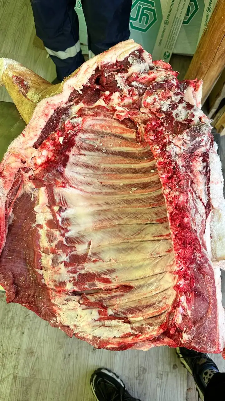 Продажа домашней свинины стегнами - Продукты питания (Барахолка) в Улан-Удэ