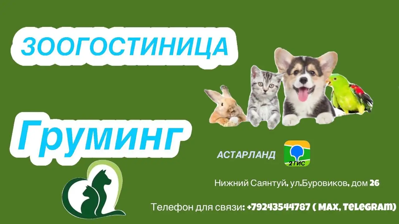 Зоогостиница и груминг в Улан-Удэ - Для животных (Услуги) в Улан-Удэ