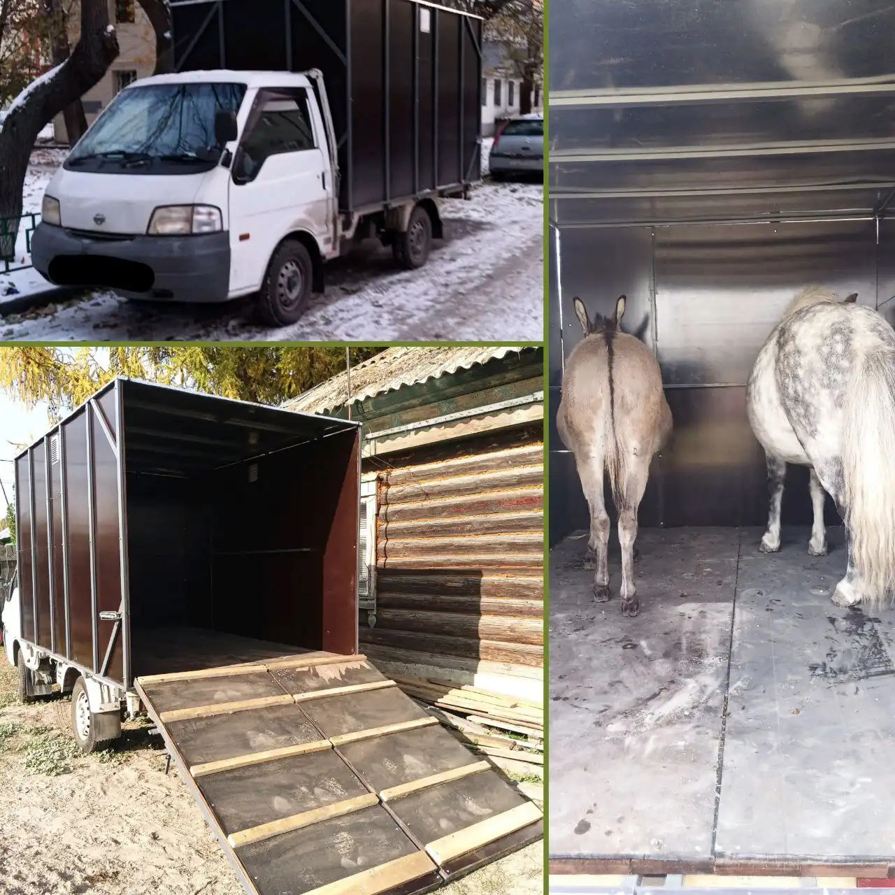 Зоотакси и перевозка животных