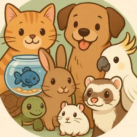 Зооняня передержка животных в Тюмени - частное объявление в Тюмень