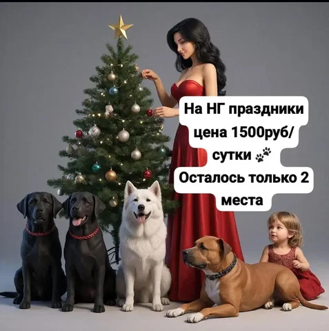 Передержка собак любых пород - Услуги в Тюмень