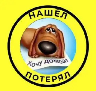 Группа для поиска потерянных животных в Тюмени - Поиск животных (Услуги) в Тюмень