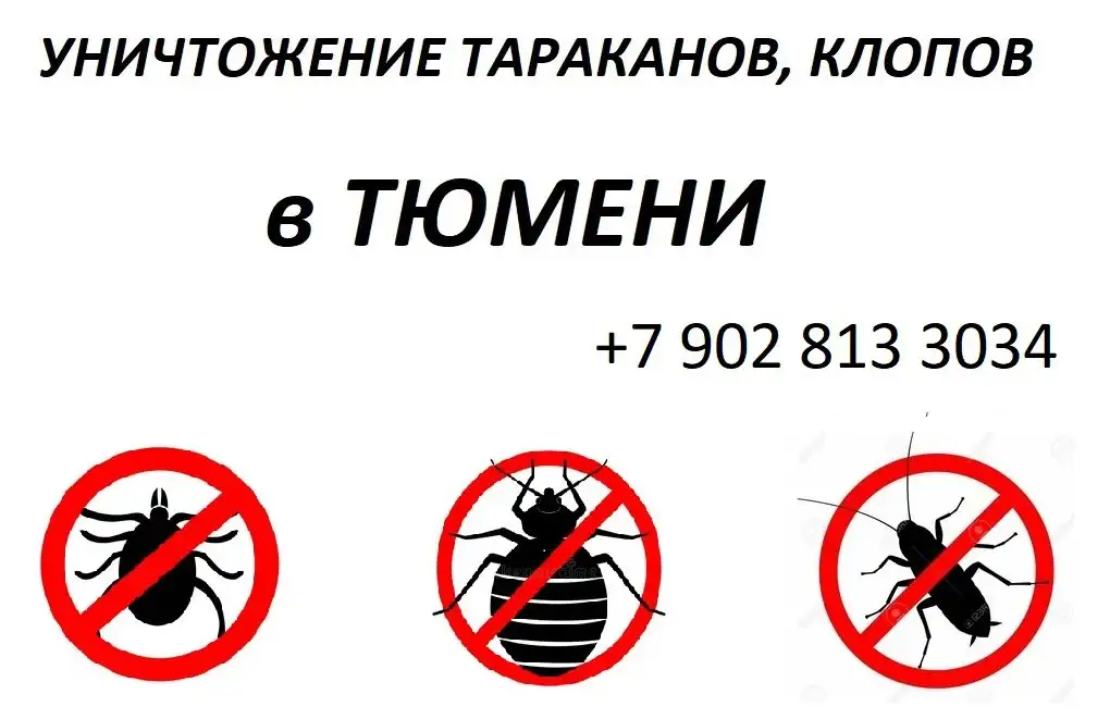 Уничтожение тараканов, клопов, клещей в Тюмени с гарантией - Дезинфекция (Услуги) в Тюмень