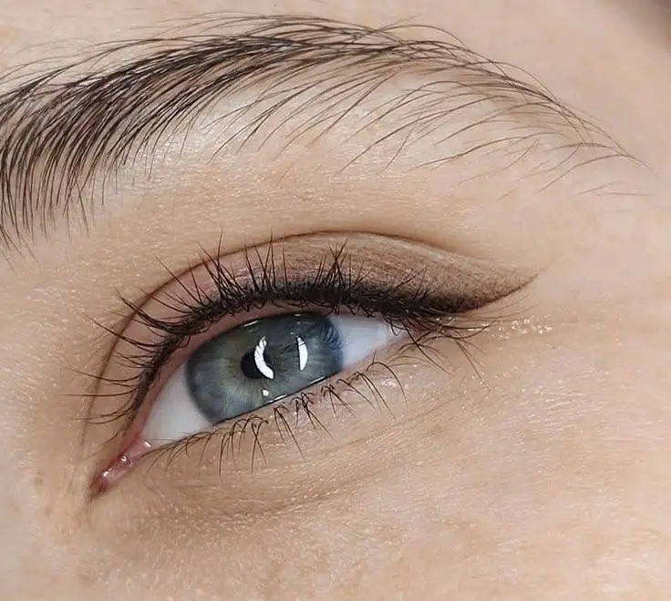 Услуги мастера-преподавателя по перманентному макияжу и ламинированию ресниц - Красота (Услуги) в Тюмень