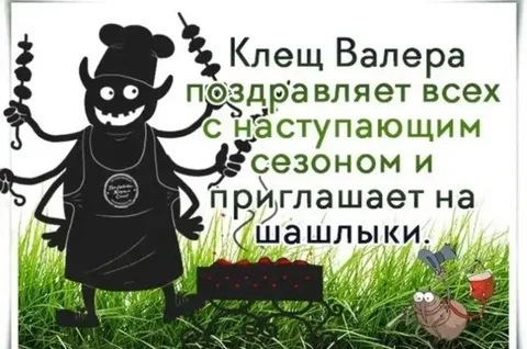 Обработка участков от клещей и насекомых в Тюмени - Оформление окон в Тюмень