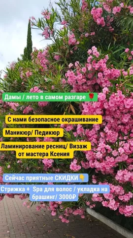 Скидки на услуги салона 8 июля - Услуги в Тюмень