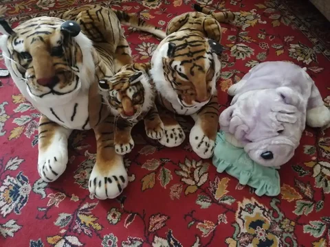 Мягкие игрушки - Игрушки в Воронеж