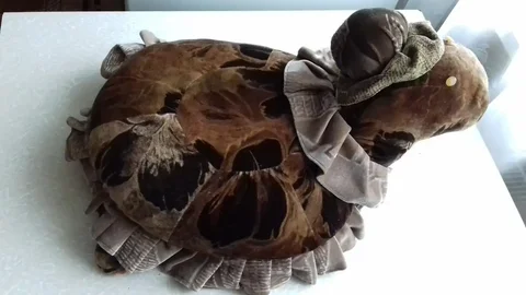 Мягкая игрушка черепаха Тортила новая 50 см - Игрушки в Воронеж