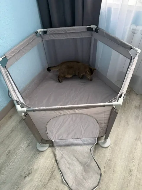 Манеж шестиугольный серого цвета для малыша - Манежи в Воронеж