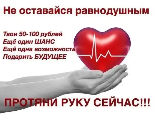 Срочный сбор на операцию котёнку со сломанной лапкой