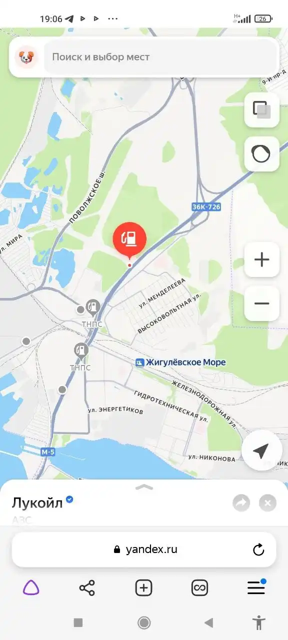 Помощь в поиске пропавшей кошки Мурки в Тольятти