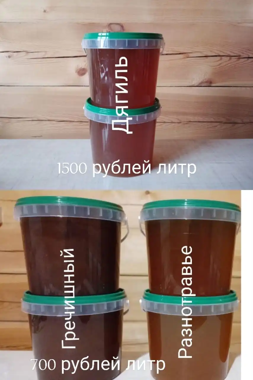 Продам натуральный Алтайский Мед со своей пасеки