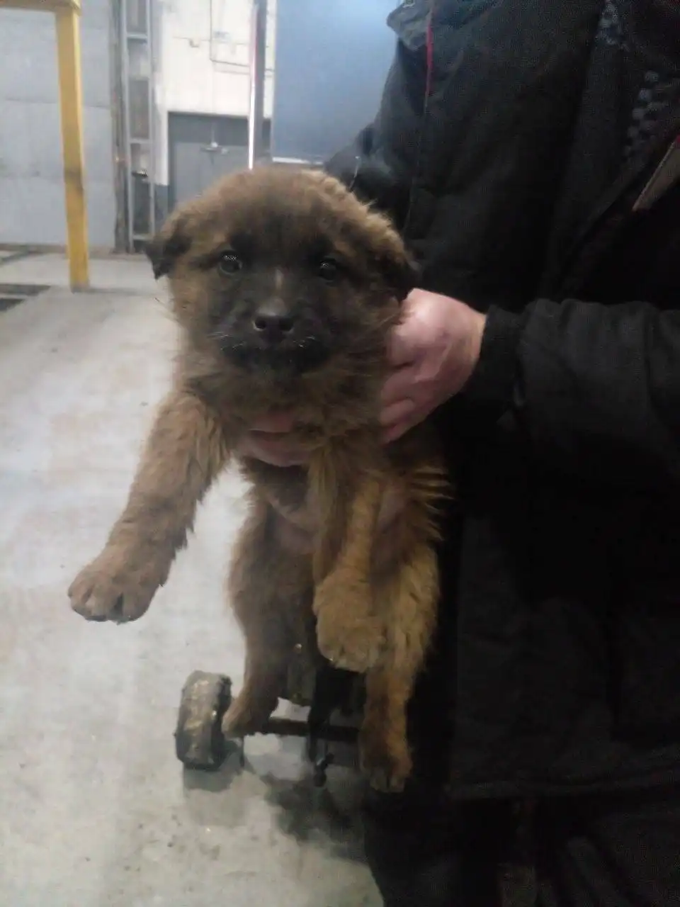 Поиск дома для пацана в Чите