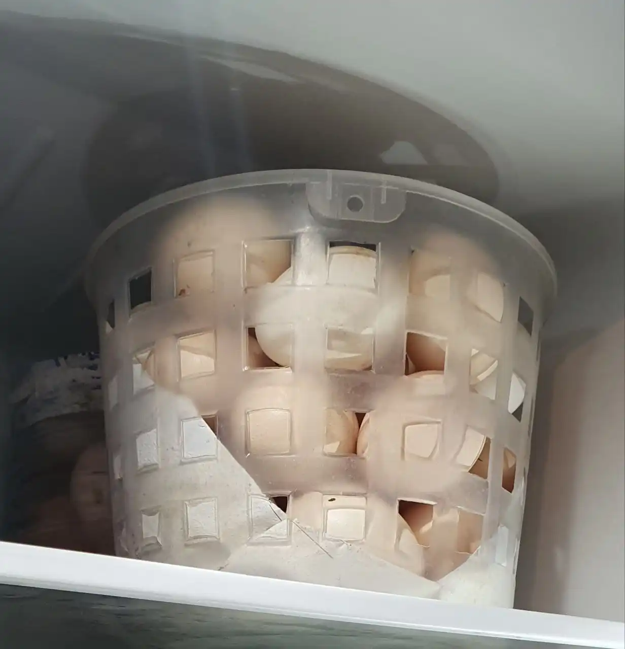 Домашние яйца