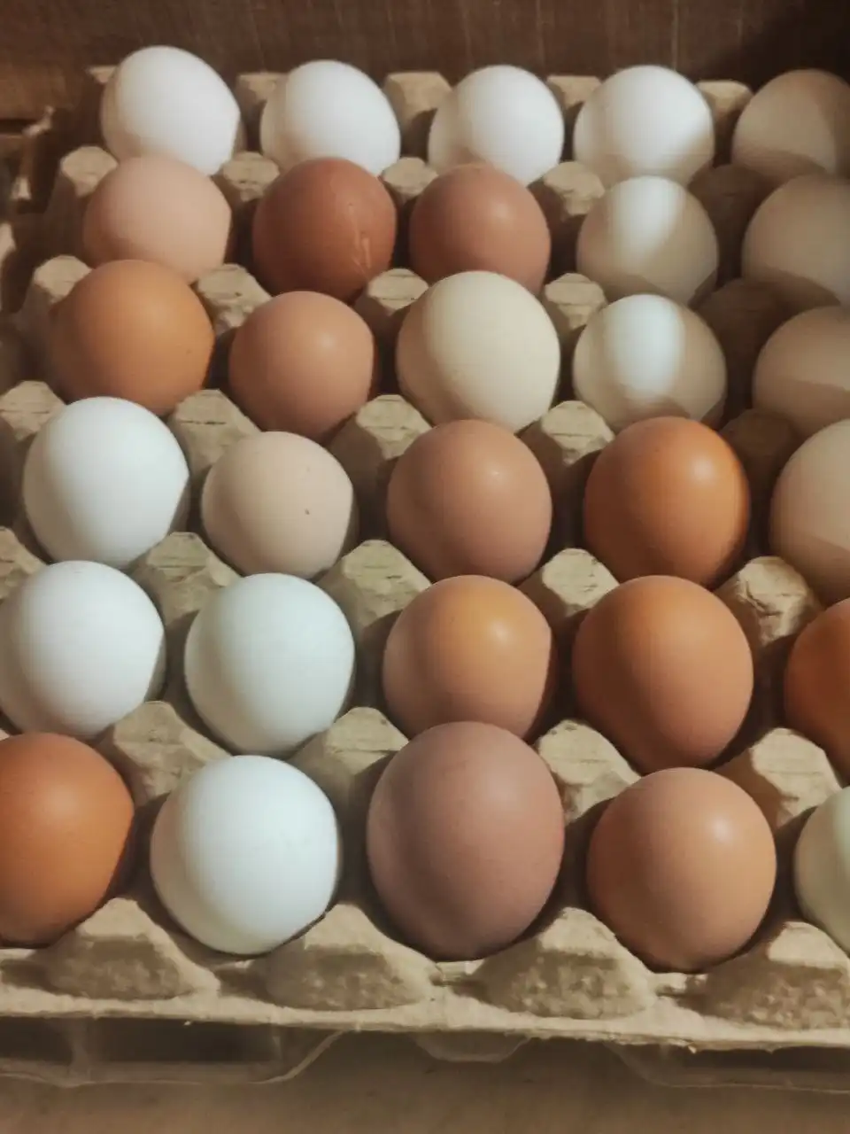 Продажа продуктов питания в Чите - Продукты питания (Барахолка) в Чита