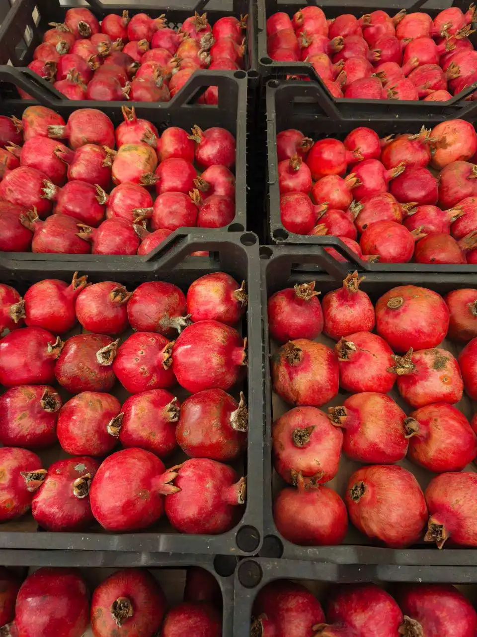 Продажа деликатесов и фруктов в Чите - Продукты питания (Барахолка) в Чита