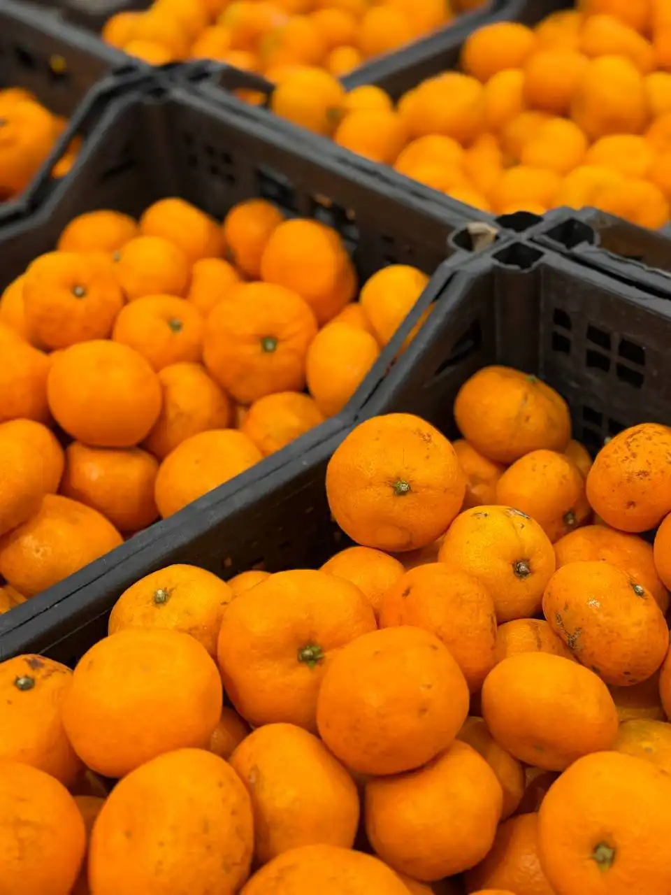 Мандарины из Абхазии - Продукты питания (Барахолка) в Чита