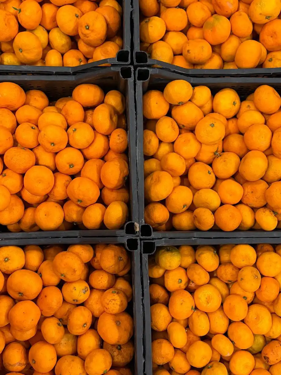 Мандарины из Абхазии - Продукты питания (Барахолка) в Чита