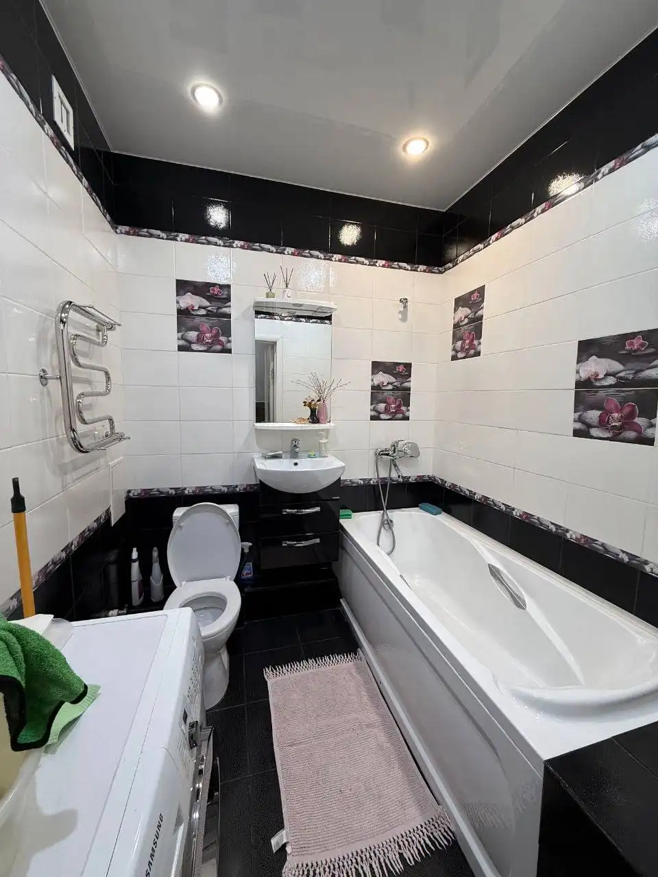 Продажа стрижей 4 - Птицы (Хобби и отдых) в Чита